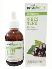 RIBES NERO GEMMODERIVATO PURO BIODISPONIBILE 50 ML