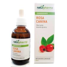 ROSA CANINA GEMMODERIVATO PURO BIODISPONIBILE 50 ML